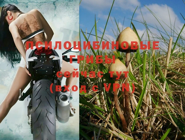 эйфоретик Балахна