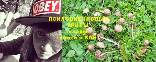 эйфоретик Балахна